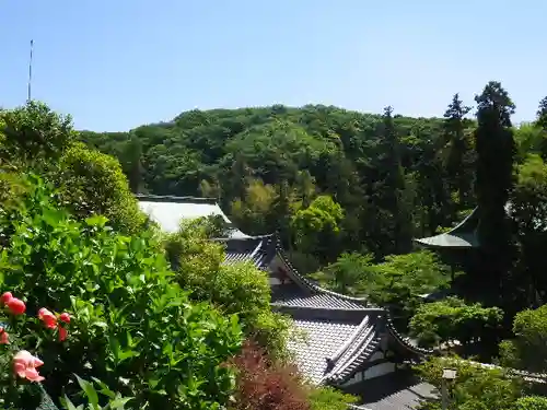 松嶺院の景色