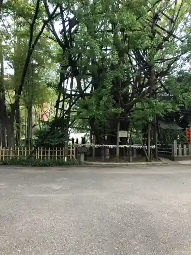 稲毛神社(神奈川県)