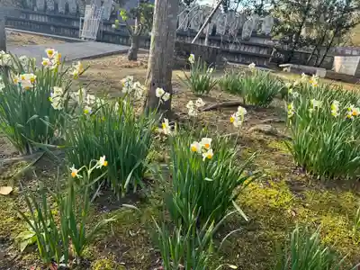 伊勢の国 四天王寺(三重県)