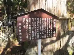 戸隠神社中社の建物その他