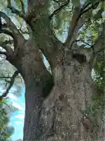 伊勢神明社(静岡県)