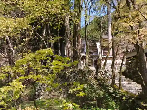横蔵寺(岐阜県)