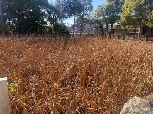 伊賀八幡宮(愛知県)