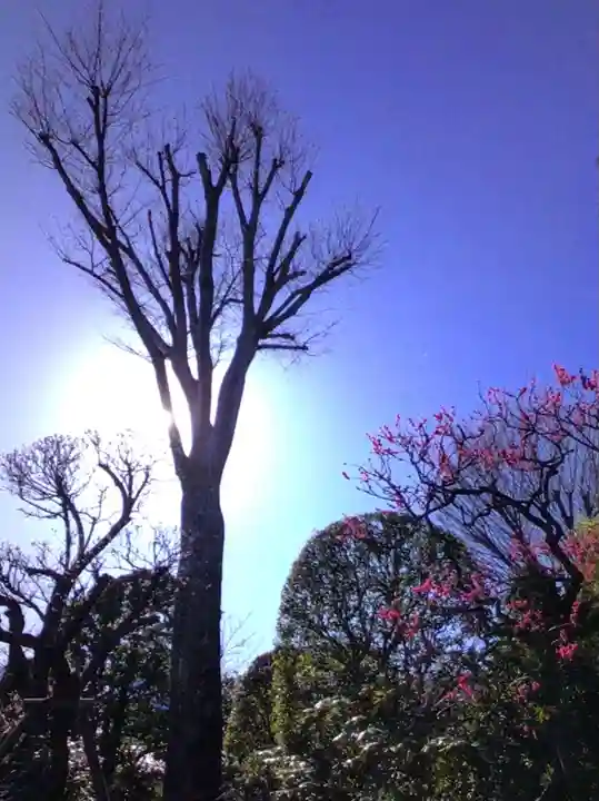 東長谷寺 薬王院(東京都)