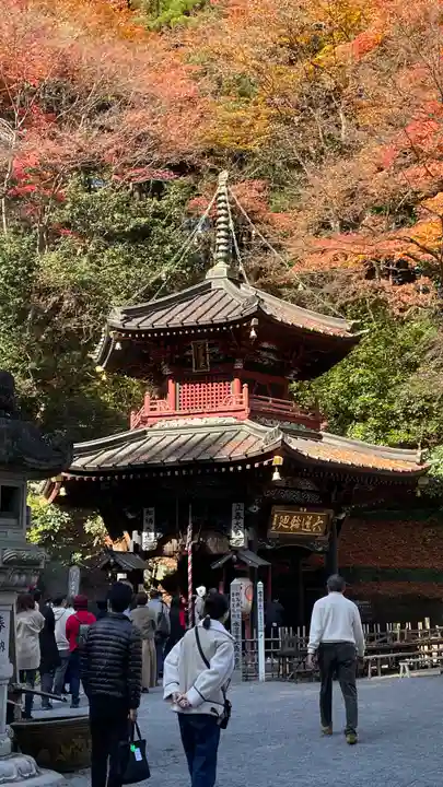 水澤寺(水澤観世音)(群馬県)