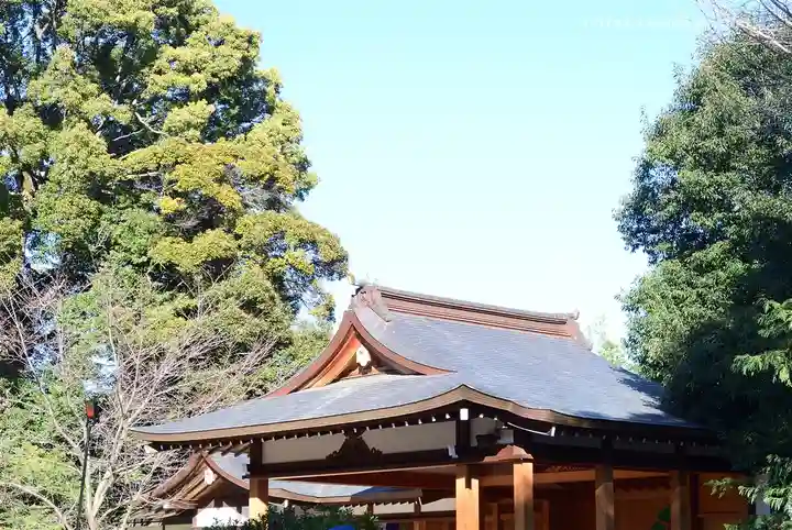 阿佐ヶ谷神明宮(東京都)