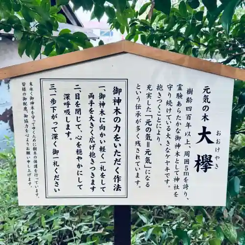 鎮守氷川神社(埼玉県)