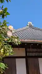 霊鑑寺門跡(京都府)