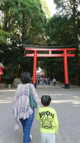 霧島神宮の鳥居