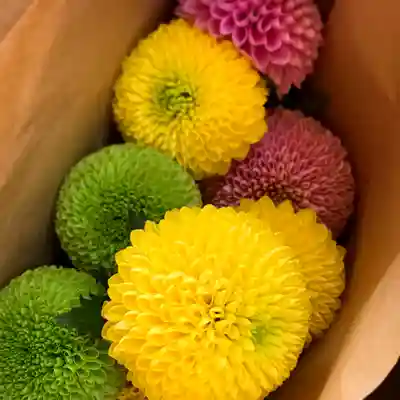 滑川神社 - 仕事と子どもの守り神(福島県)