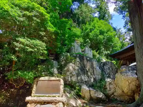 鹿島大神宮の自然