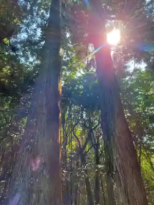平田稲荷神社の自然