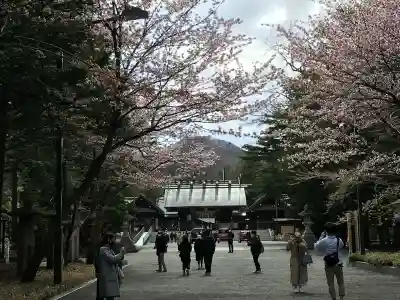 北海道神宮の{uncategorized: "未分類", other: "その他", undefined: "問題あり", building: "その他建物", grave: "お墓", sacred_gate: "鳥居", guardian: "狛犬", statue: "像", buddha: "仏像", history: "歴史", nature: "自然", garden: "庭園", animal: "動物", pagoda: "塔", temizu: "手水舎", mountain_gate: "山門・神門", sanctuary: "本殿・本堂", subordinate: "末社・摂社", art: "芸術", scenery: "景色", jizo: "地蔵", ema: "絵馬", goshuin: "御朱印", omikuji: "おみくじ", items: "授与品その他", amulet: "お守り", goshuincho: "御朱印帳", eats: "食事", festival: "お祭り", votive_dance: "神楽", shichigosan: "七五三参", wedding: "結婚式", experience: "体験その他", initially: "初詣", around: "周辺", anti_infection: "感染症対策"}