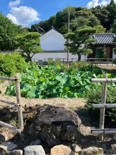 當麻寺(奈良県)