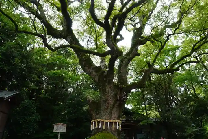 熱田神宮(愛知県)