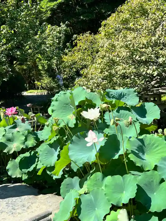 明王院(神奈川県)