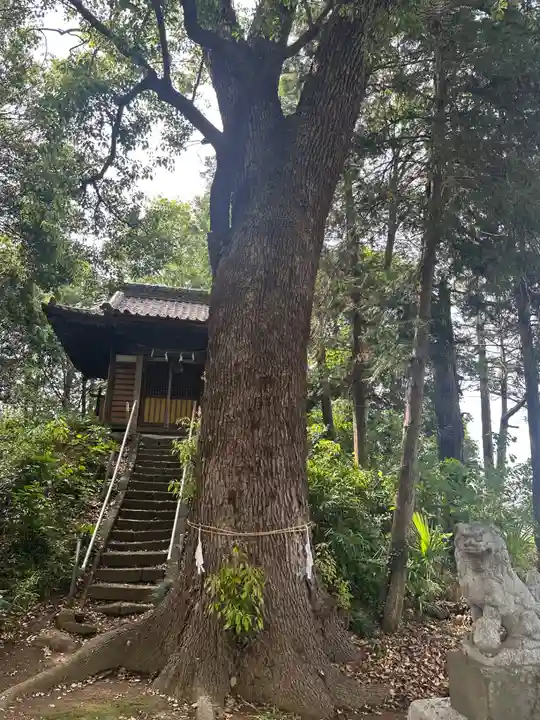若電神社(埼玉県)