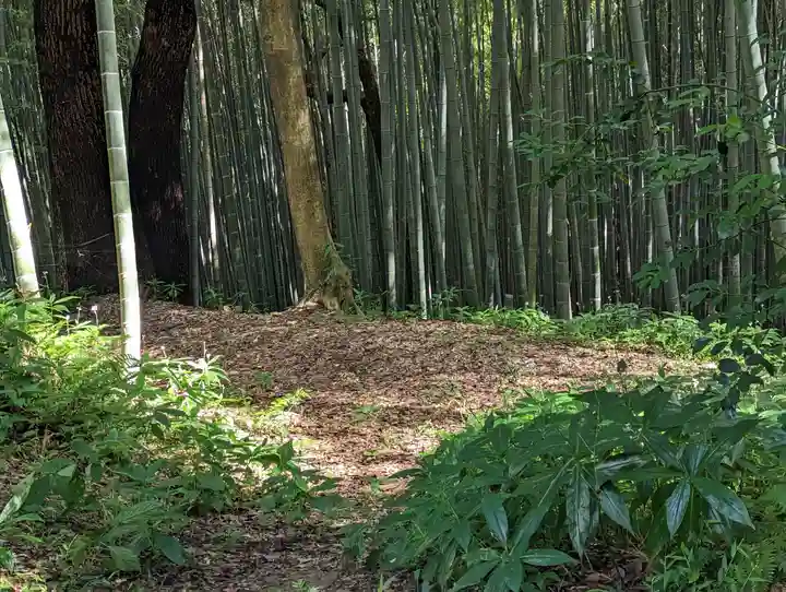 石清水八幡宮(京都府)