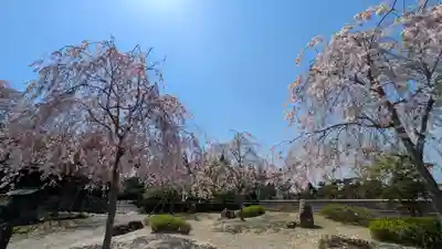 圓光寺(京都府)