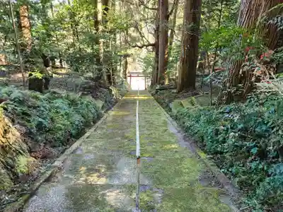 伊邪那岐神社(鹿児島県)