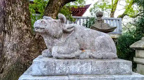 加納天満宮の狛犬