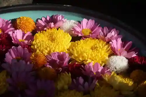 大鏑神社の手水舎