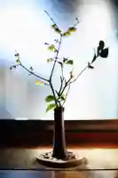 浄土寺(兵庫県)