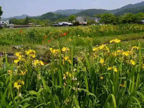 常泉寺の自然