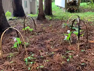 明石神社の周辺