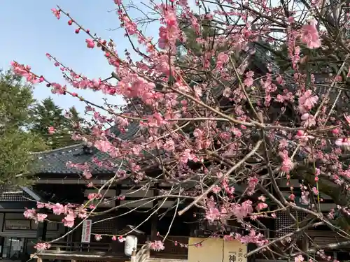 尾山神社(石川県)