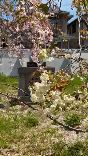 橋寺 放生院(京都府)