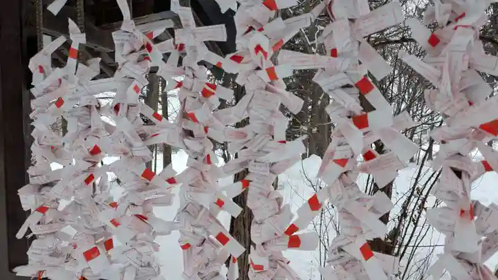 神楽神社のおみくじ