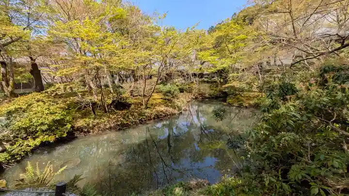 圓光寺(京都府)