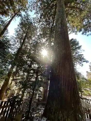 天鷹神社(岐阜県)