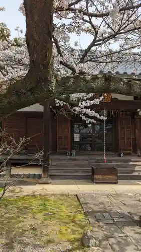 真正極楽寺（真如堂）(京都府)
