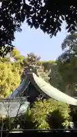武蔵一宮氷川神社の本殿・本堂