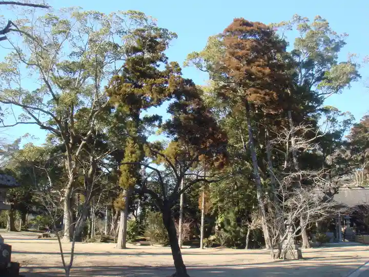 橘樹神社の自然