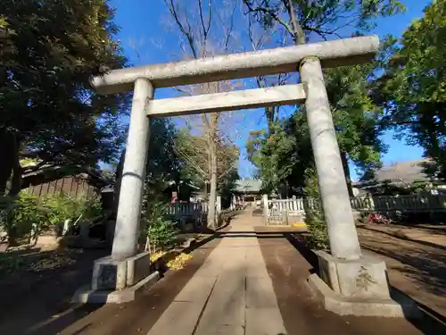 八雲氷川神社の鳥居