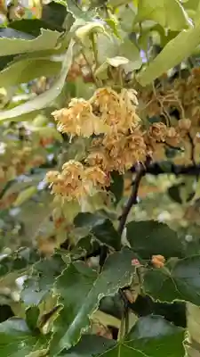 真正極楽寺(真如堂)(京都府)