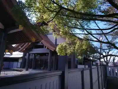 高﨑神社(群馬県)