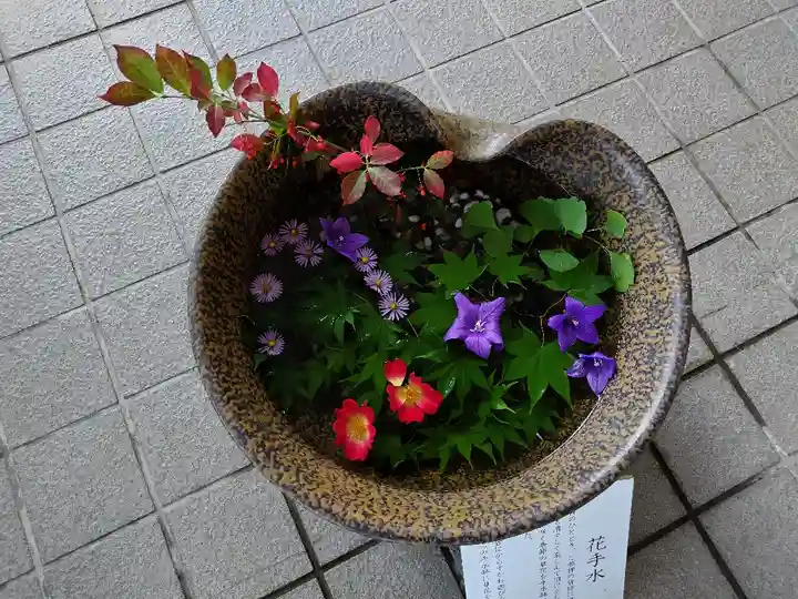 美瑛神社の手水舎