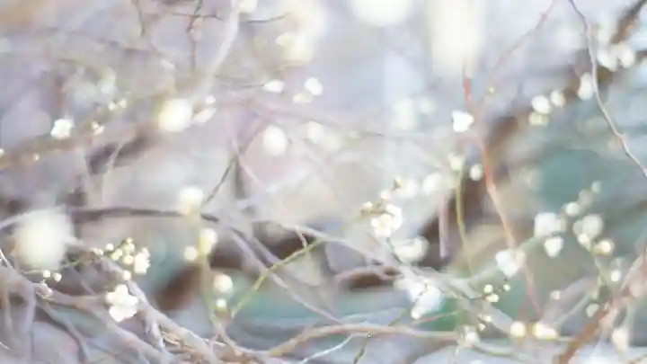 御霊神社(大阪府)
