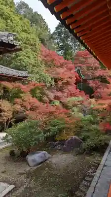 毘沙門堂門跡(京都府)