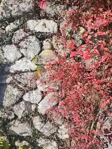 長谷寺(大分県)