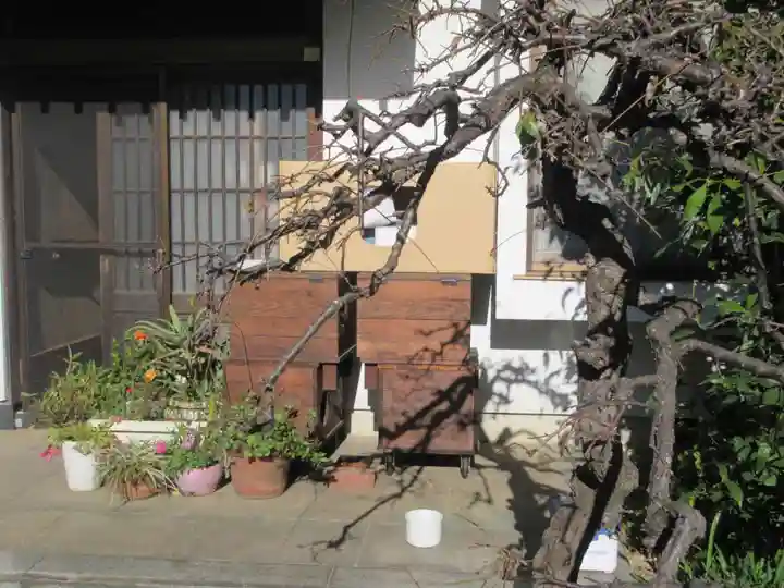 相模國分寺(神奈川県)