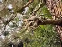高岡神社の{uncategorized: "未分類", other: "その他", undefined: "問題あり", building: "その他建物", grave: "お墓", sacred_gate: "鳥居", guardian: "狛犬", statue: "像", buddha: "仏像", history: "歴史", nature: "自然", garden: "庭園", animal: "動物", pagoda: "塔", temizu: "手水舎", mountain_gate: "山門・神門", sanctuary: "本殿・本堂", subordinate: "末社・摂社", art: "芸術", scenery: "景色", jizo: "地蔵", ema: "絵馬", goshuin: "御朱印", omikuji: "おみくじ", items: "授与品その他", amulet: "お守り", goshuincho: "御朱印帳", eats: "食事", festival: "お祭り", votive_dance: "神楽", shichigosan: "七五三参", wedding: "結婚式", experience: "体験その他", initially: "初詣", around: "周辺", anti_infection: "感染症対策"}