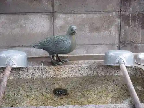 首途八幡宮の動物