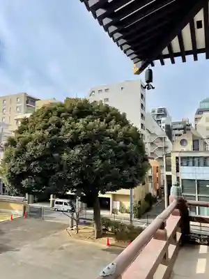 霊雲寺(東京都)