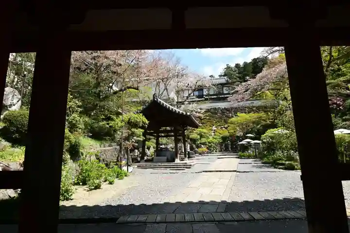 岡寺(龍蓋寺)(奈良県)