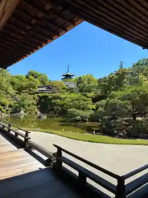 仁和寺の{uncategorized: "未分類", other: "その他", undefined: "問題あり", building: "その他建物", grave: "お墓", sacred_gate: "鳥居", guardian: "狛犬", statue: "像", buddha: "仏像", history: "歴史", nature: "自然", garden: "庭園", animal: "動物", pagoda: "塔", temizu: "手水舎", mountain_gate: "山門・神門", sanctuary: "本殿・本堂", subordinate: "末社・摂社", art: "芸術", scenery: "景色", jizo: "地蔵", ema: "絵馬", goshuin: "御朱印", omikuji: "おみくじ", items: "授与品その他", amulet: "お守り", goshuincho: "御朱印帳", eats: "食事", festival: "お祭り", votive_dance: "神楽", shichigosan: "七五三参", wedding: "結婚式", experience: "体験その他", initially: "初詣", around: "周辺", anti_infection: "感染症対策"}